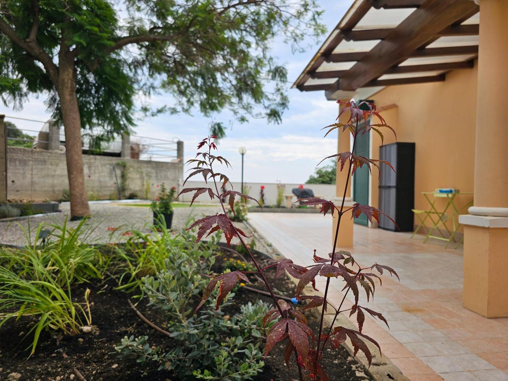 Avocado Villa Ventimiglia Eksteriør bilde